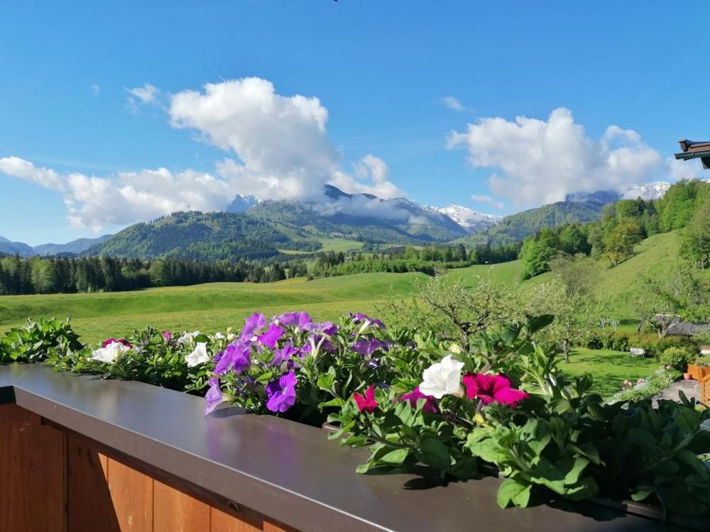 Landhaus Bergblick Kössen Zewnętrze zdjęcie